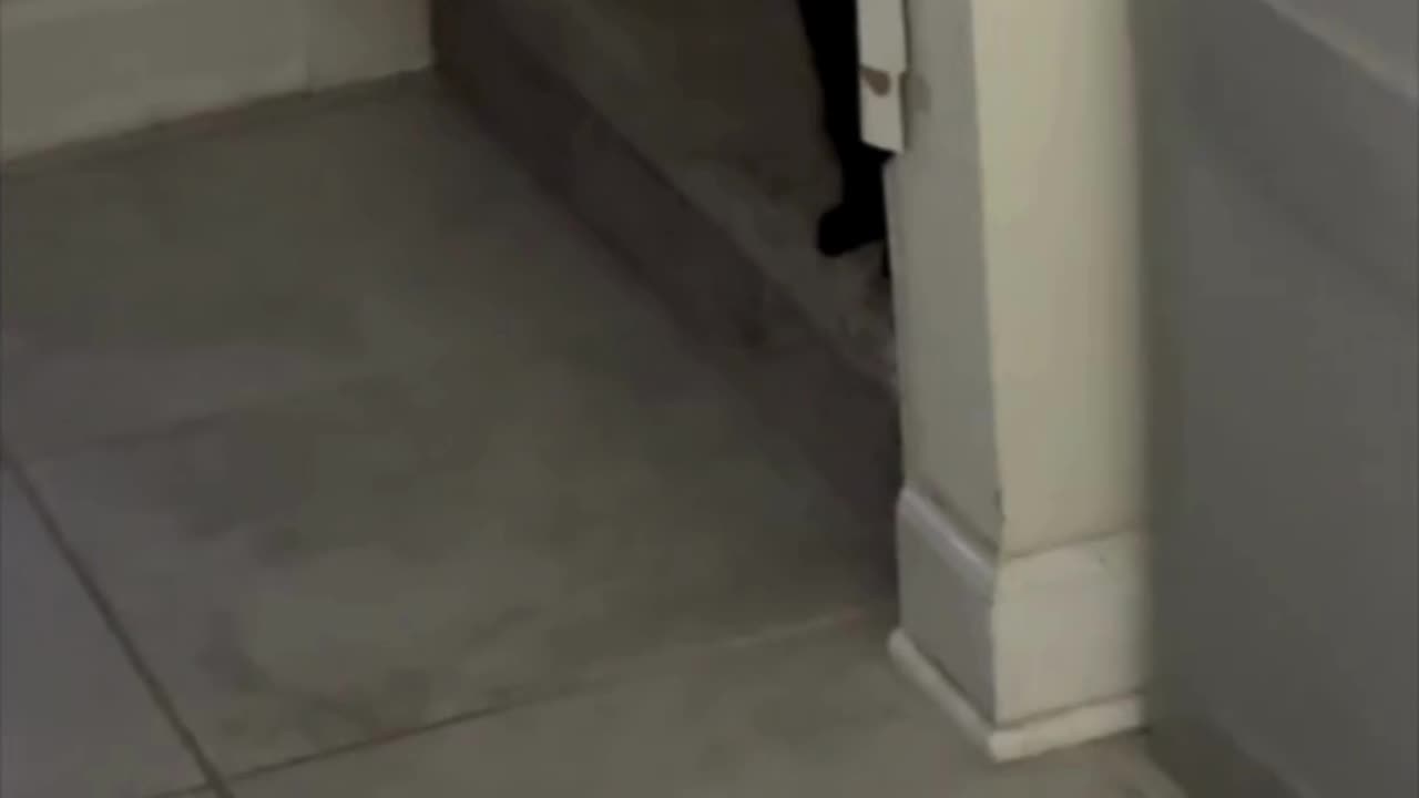 Secret Agent 00 Piper is Listening