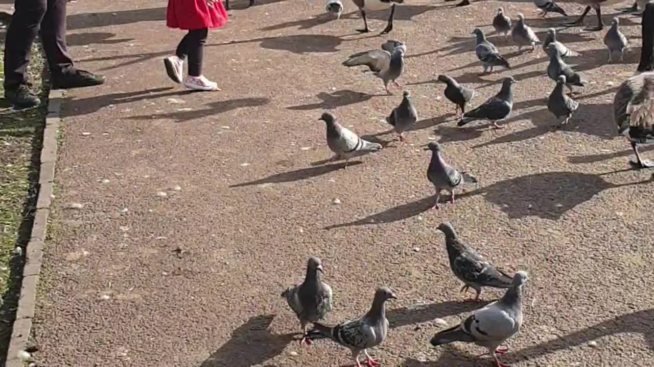 West MIDLANDS UK Park