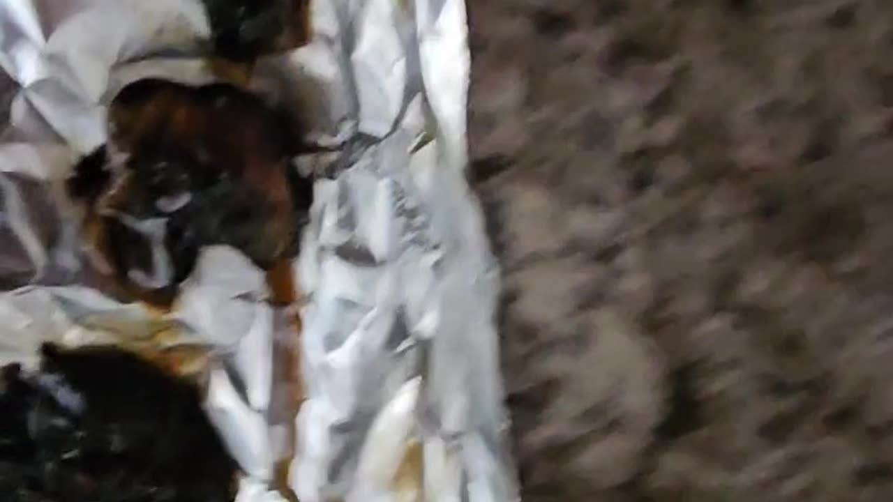 Mushroom prints melted