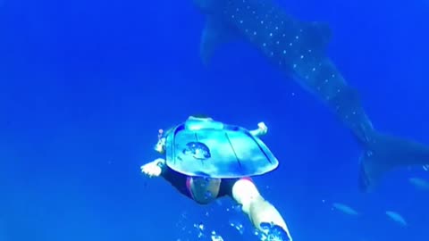 crystal_cave_tours # #shortsfeed,#shortfeeds,#viraltrending,#shorts #shortstrending