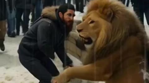 lion Kills Man Taking Selfie in Zoo Enclosure #youtubeshorts #cute #youtubevideos #lion