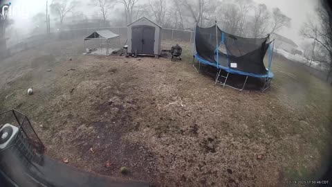 WATCH: Just seconds after the child brought his dog inside, a tornado ripped