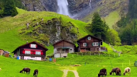 Welcome to beauty of nature - 00009