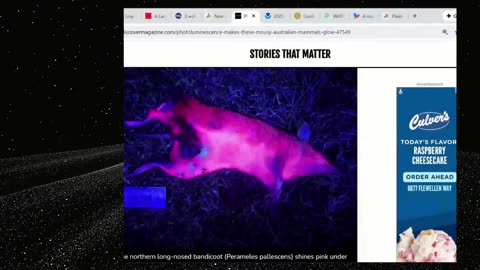 Thursday Night!!! Prehistoric To Present Animal News From Around The World...