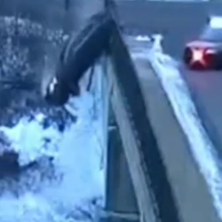 Minnesota Couple rocket scientists drive someones stolen Kia off a bridge.