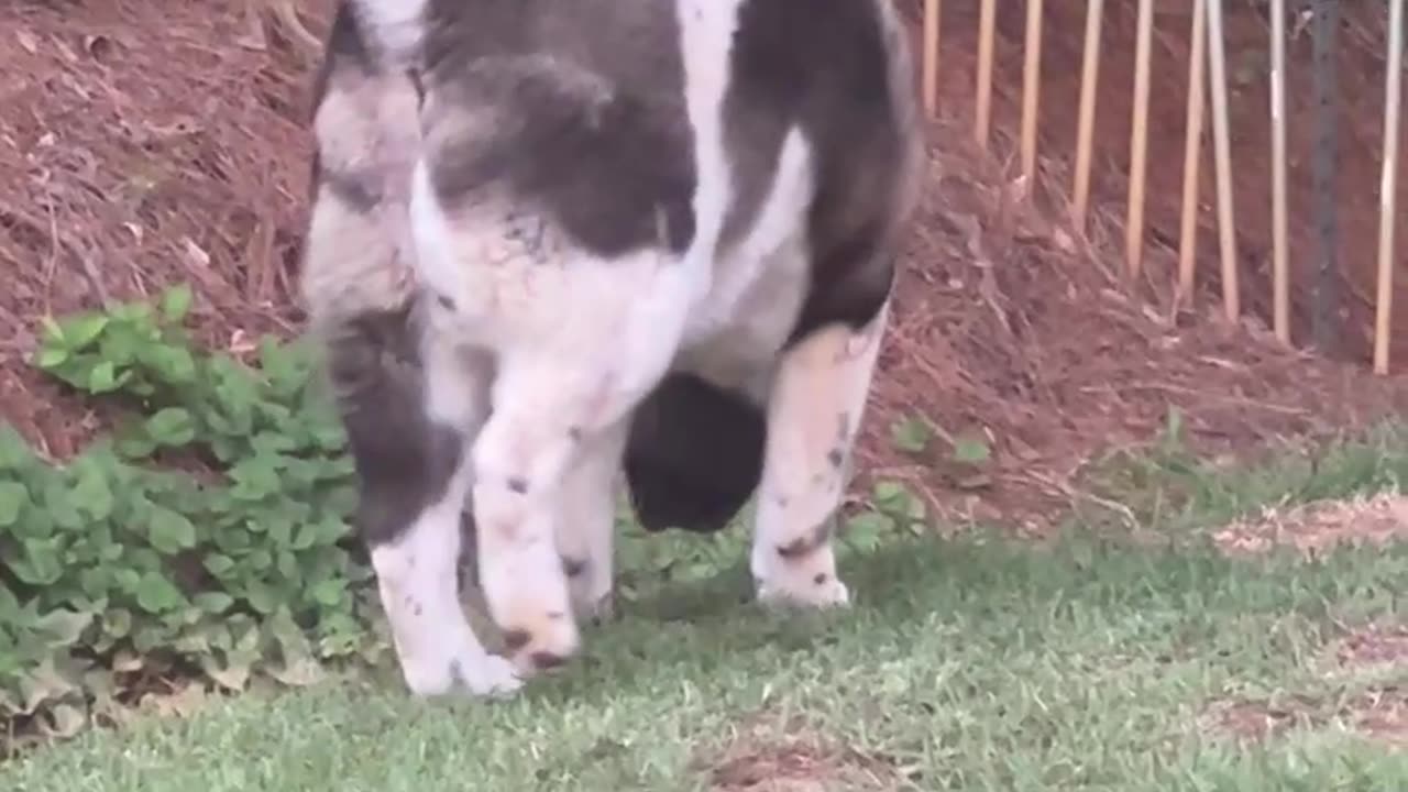 Matsu was bad, but Matsu doesn't care