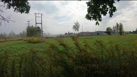 koma elk krzemowa 8 b