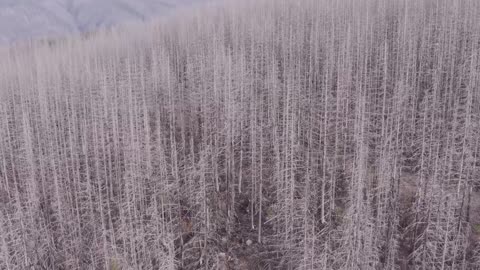 both flights to first creek 11-9