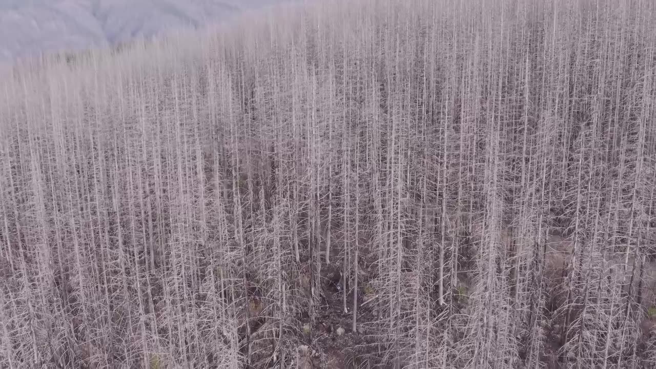 both flights to first creek 11-9