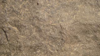 驚きの石器ワザ！皮を薄く漉く30秒