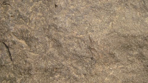 驚きの石器ワザ！皮を薄く漉く30秒