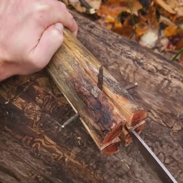 Pine Fat Wood Torch