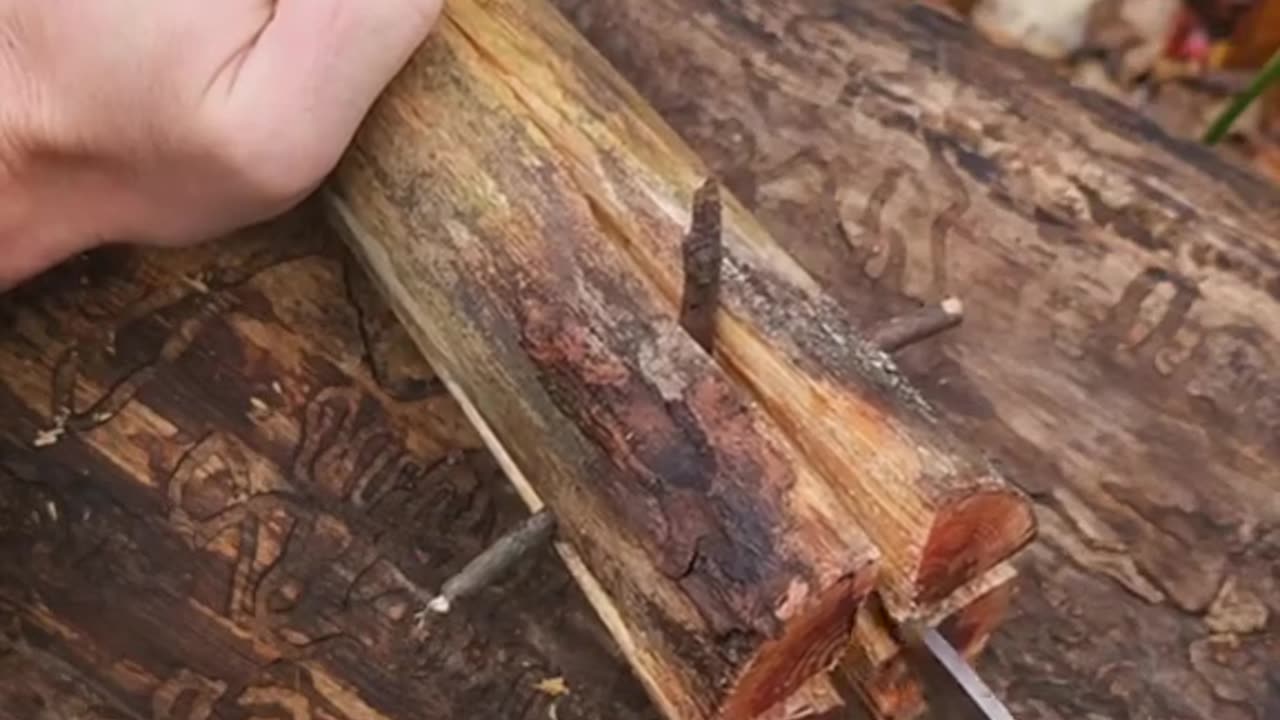 Pine Fat Wood Torch