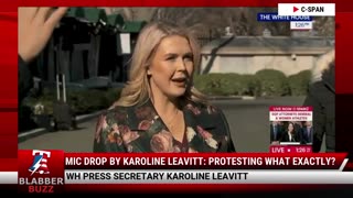 Mic Drop By Karoline Leavitt: Protesting What Exactly?