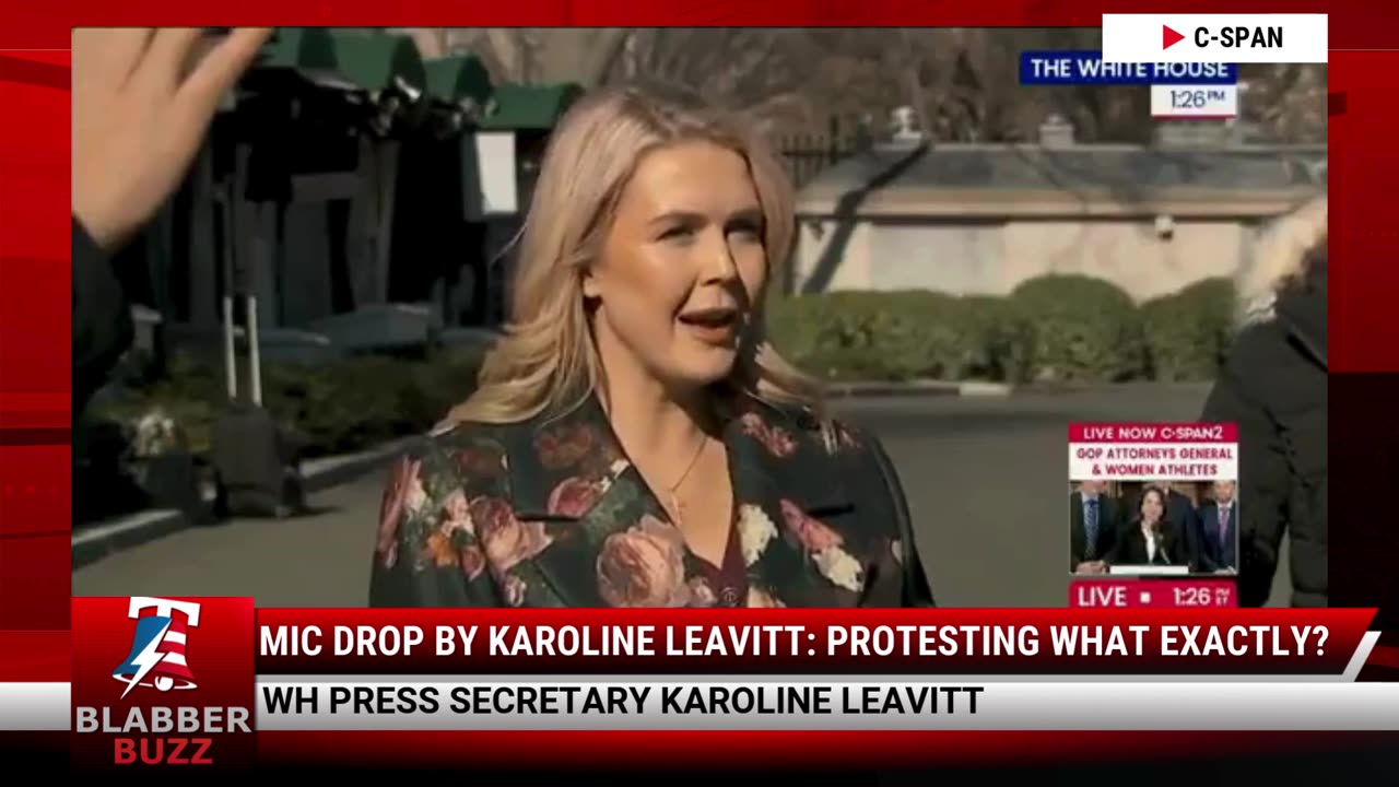 Mic Drop By Karoline Leavitt: Protesting What Exactly?