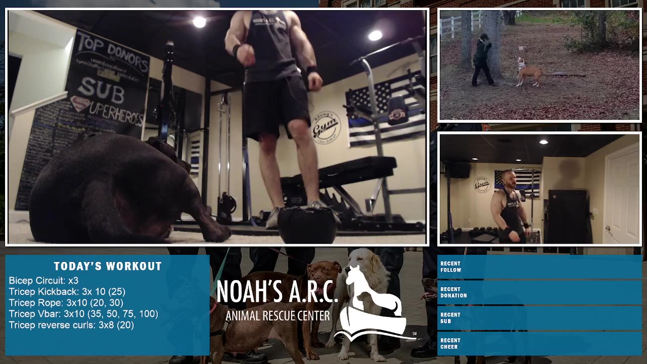 LBL Session w/Remy Pup [Week 18] - Gunz & Gainz // Animal Rescue Stream :)