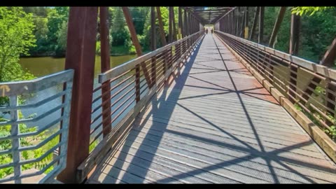 Brampton man drowns after jumping off bridge into the Grand River