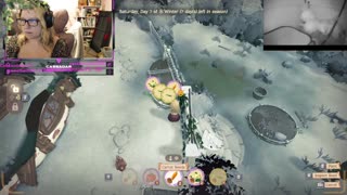 Chicken Live Stream