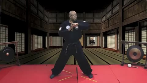 Hapkido