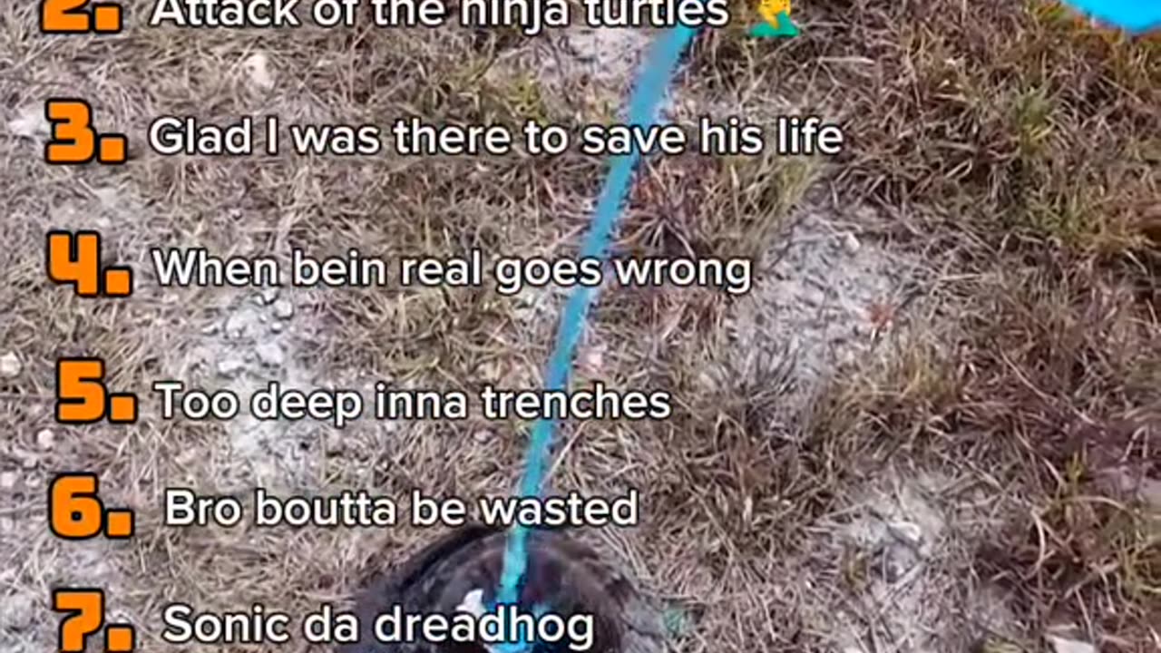 ranking best medazelli