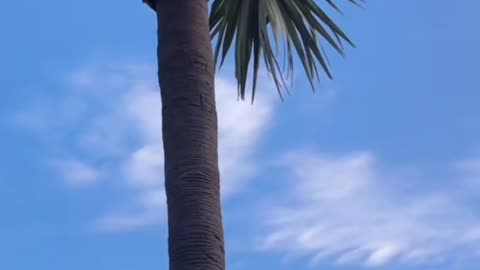 This boy feet mindblowing