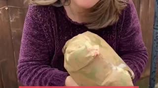 We Surprised Mom With A Christmas Gift hd