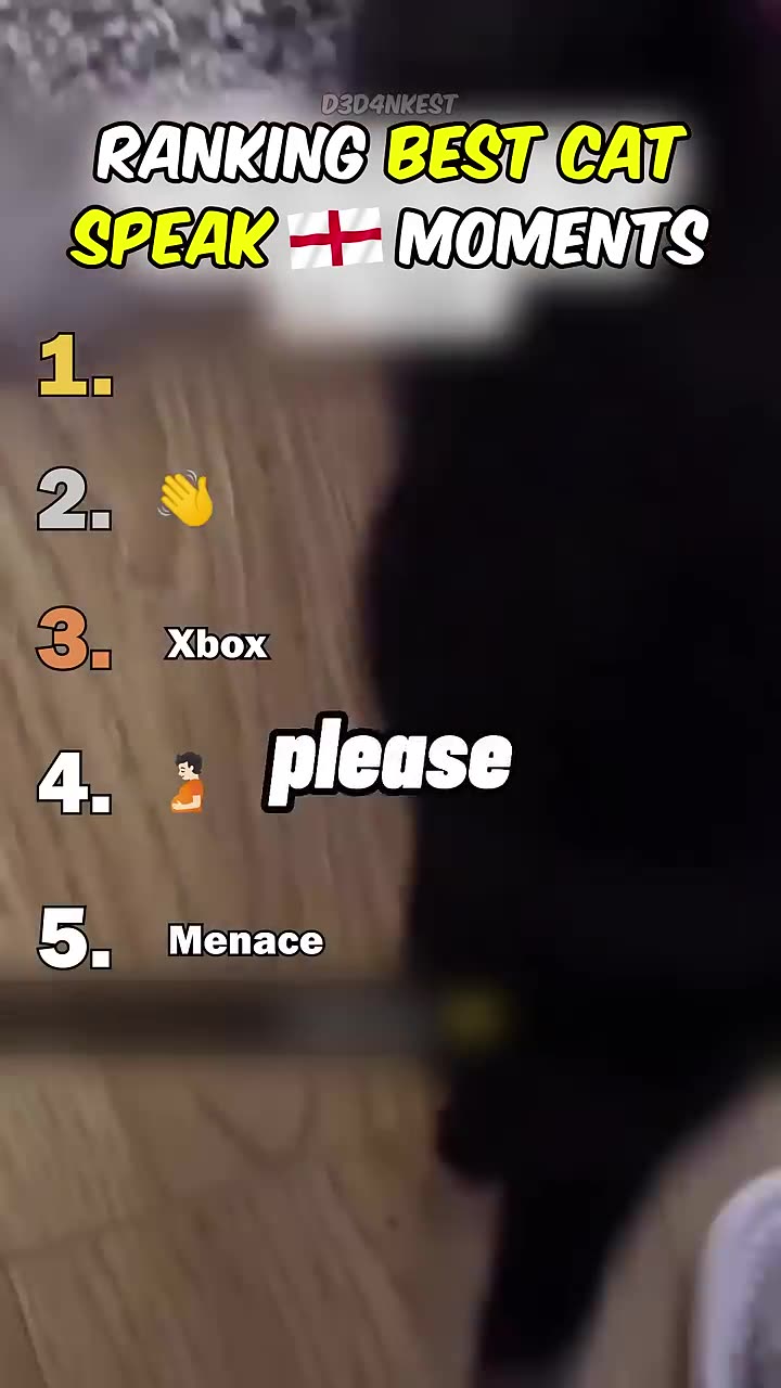 📹 Ranking Best Cats Speaking English Moments