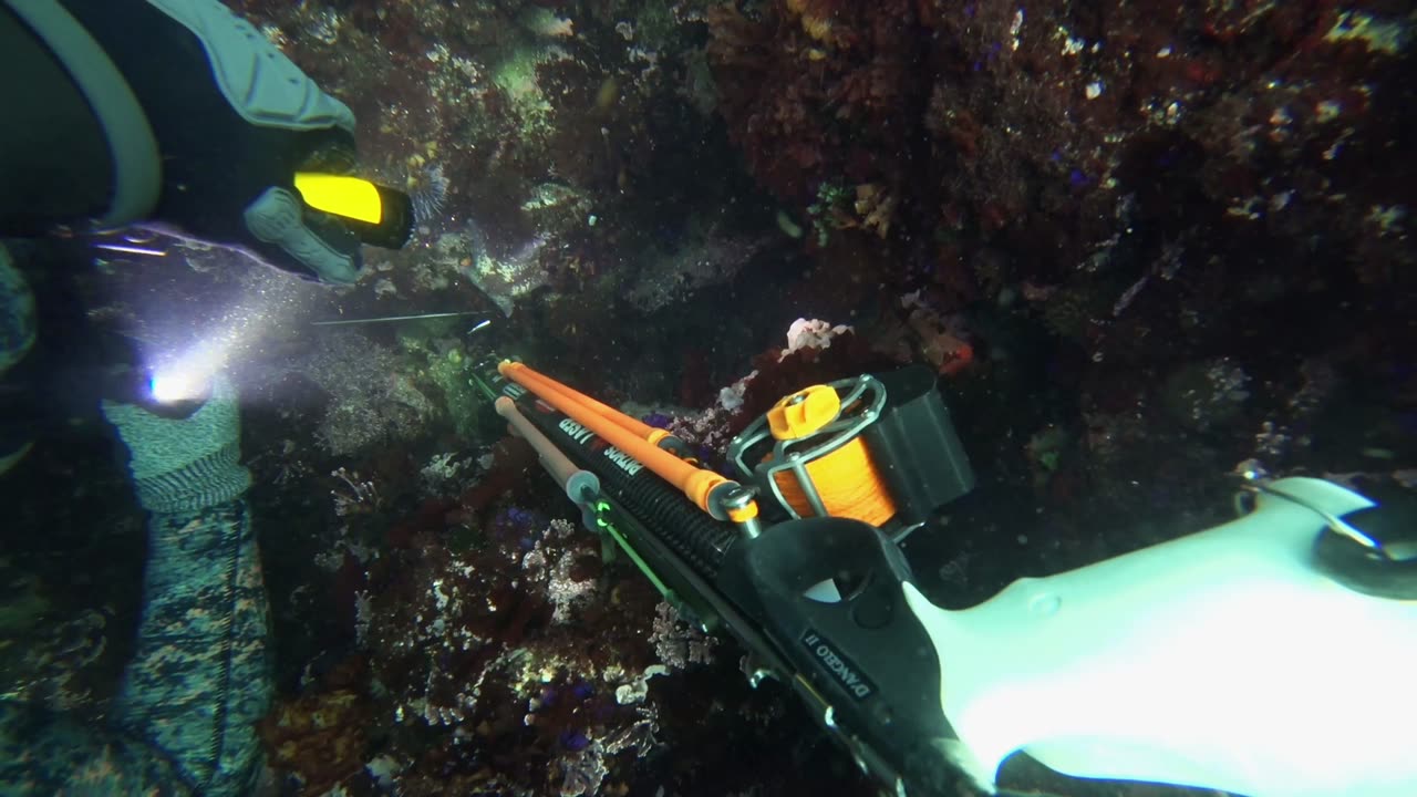 Spearfishing Lovely Calm Conditions | Monterey