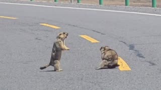 😱⏳ This Epic Moment Will Leave You Speechless! | FunFM