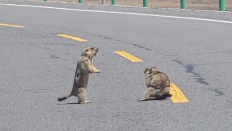 😱⏳ This Epic Moment Will Leave You Speechless! | FunFM