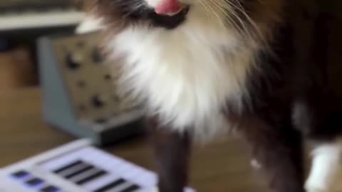 🎵🎸 The Most Talented Musician You'll See Today! | FunFM