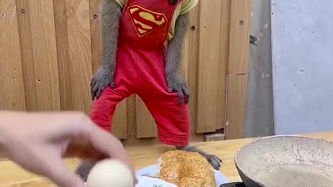 Monkey
