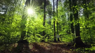 Velvet Echo – the sound of comfort returning.