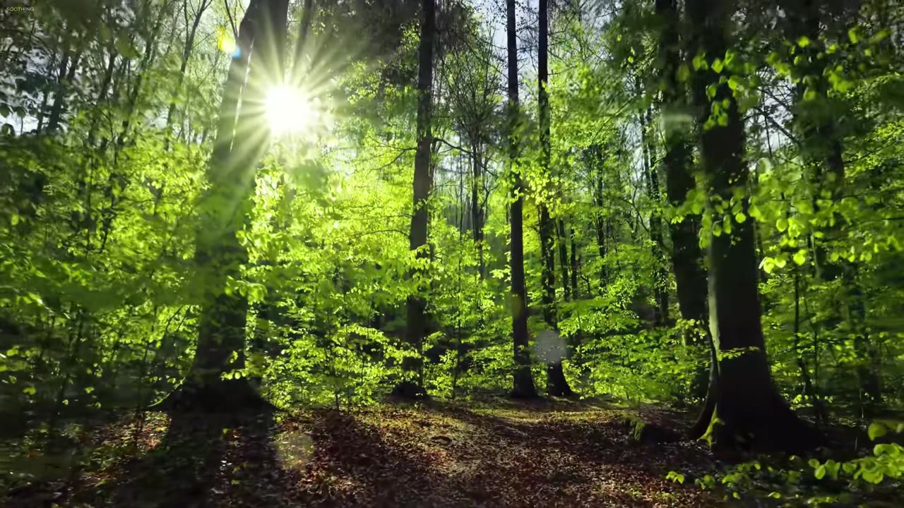 Velvet Echo – the sound of comfort returning.