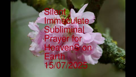 Silent Immaculate Subliminal Prayer for HeavenS on Earth 15-07-2025