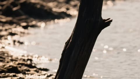 The Light of His Life - The Murder of Melina Frattolin (Part 2)