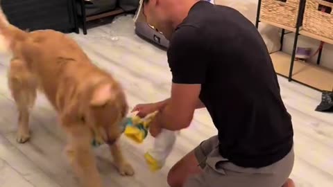 Dogs comedy Videos 🤣 so cute videos 😍 funny videos 🤣