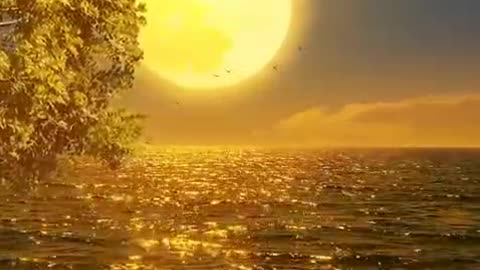 Good night