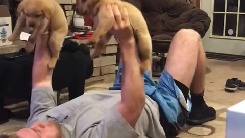 Dumbbell Puppies