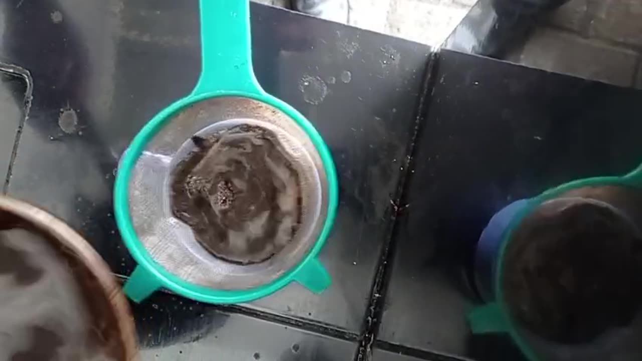 Black Coffee Tutorial Part 1: Brewing the Perfect Cup
