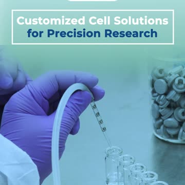Customized Cell Solutions for Precision Research #kosheeka