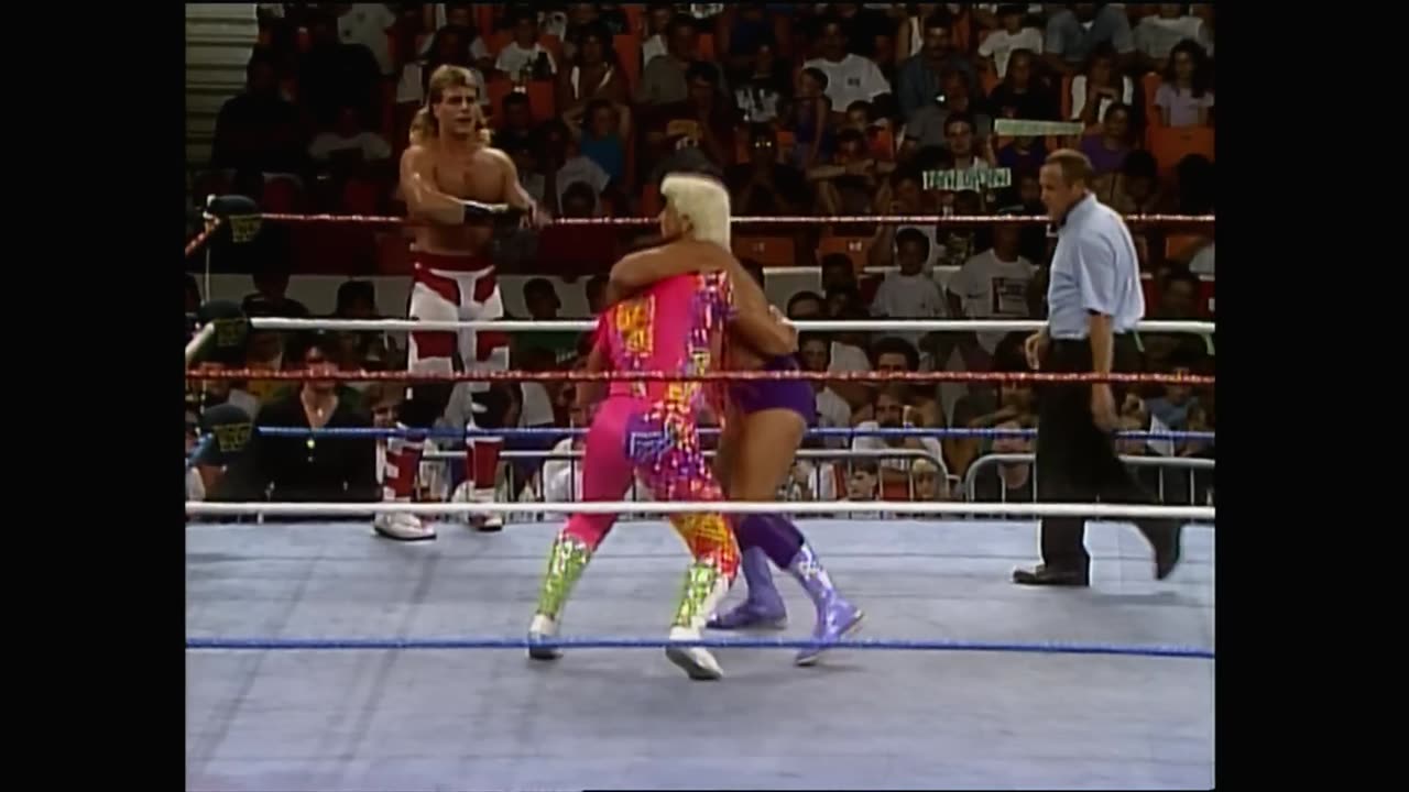 FULL MATCH; Randy Savage & Bret Hart vs. Ric Flair & Shawn Michaels; July 20, 1992
