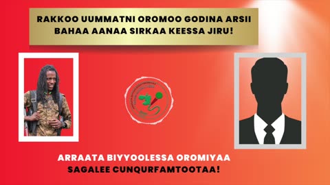 Qophii Addaa ONM-ABO Adoolessa 23-2025 itti dhiyaadhaa!