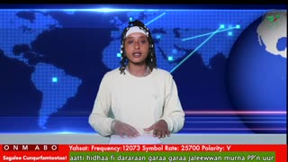 Oduu Galgala ONM-ABO Hagayya 29-2025 itti dhiyaadhaa!