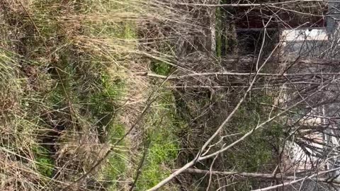 Agway in Phillipsburg