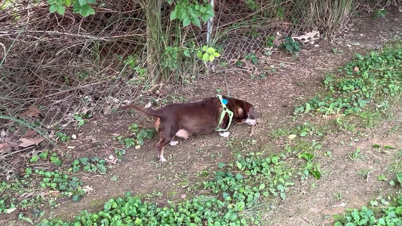 His Last Day in Kentucky