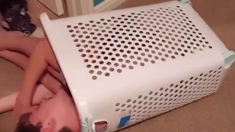 😂 Hilarious Funny Moments Compilation! Try Not to Laugh Challenge 2025 😍🤣