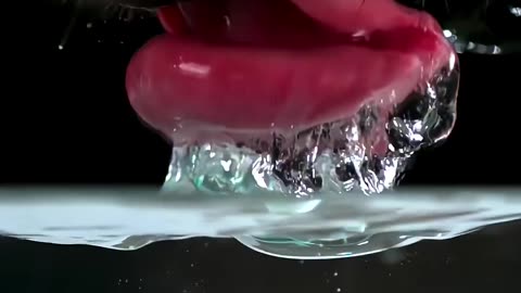 How Dogs Drink Water