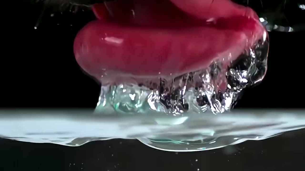 How Dogs Drink Water