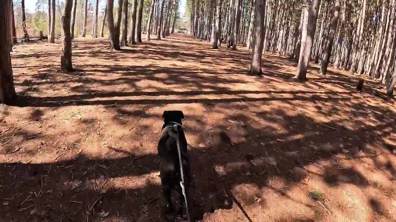 Easter Sunday Nature Walk ( Petawawa Terrace )